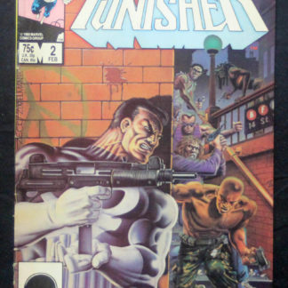 Punisher 2